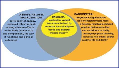 Does malnutrition cause cancer?