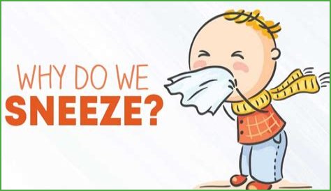 Why do I sneeze before I poop?